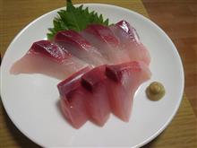 ワラサの仕入れ ワラサの仕入れ