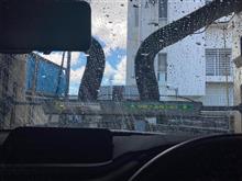 樹液まみれ🌴