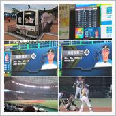 野球観戦（埼玉西武vs北海道 ...