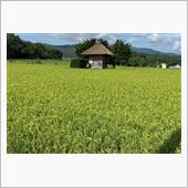 遠野詣り　神々が住む美しの里 ...