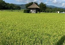 遠野詣り　神々が住む美しの里　１６