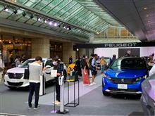 Lion Experience 2021に行ってみると