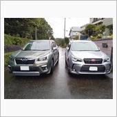 SKとSJのフォレ