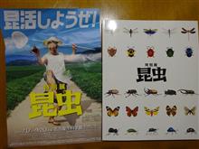 昆虫
