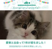 愛車と出会って1年！