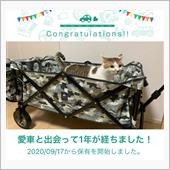 愛車と出会って1年！