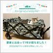 愛車と出会って1年！