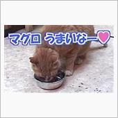 奇跡ちゃん。