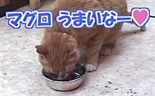 奇跡ちゃん。