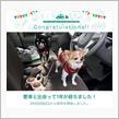 愛車と出会って1年…皆様にはお世話になりました(^_^)