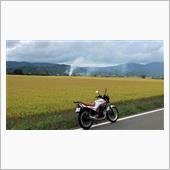遠野詣り　神々が住む美しの里 ...