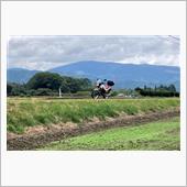 遠野詣り　神々が住む美しの里 ...