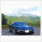 ９月の運行実績
