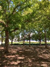 自転車散歩（TITANIO 駒沢公園）