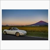 秋らしさを求めて…　(9月の ...