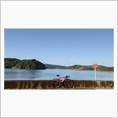 ロードバイク練（プーリーを交 ...