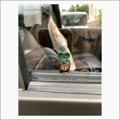 ドアロックにも