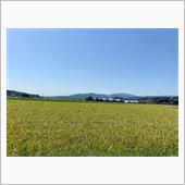 10月スタート。