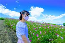 群馬・高崎　鼻高展望花の丘のコスモス
