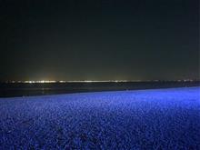 夜風に吹かれて