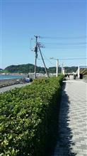由比ヶ浜でサーフィン