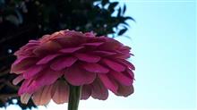 10月