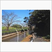 ◎週末のアレコレ、自転車メイ ...