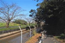 ◎週末のアレコレ、自転車メインに