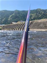 一匹4000円