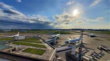 #きいろ なくるまたち　#羽田空港　第一ターミナル編　#チーズソフトクリーム