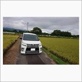 田んぼ道&#215;VOXY　Part2