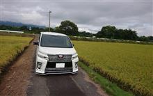 田んぼ道&#215;VOXY　Part2