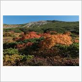 ロードスターで登山　白山の紅 ...