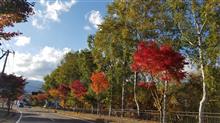 紅葉の季節