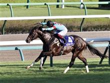 週末の競馬を振り返る（スプリンターズステークス、凱旋門賞）