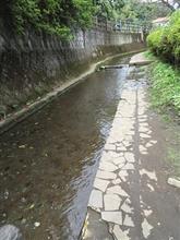 芹沢公園　お散歩