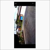 車庫解体2日目