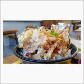 かき揚げしらす丼 とば魚Gy ...