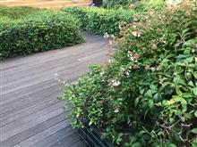 入院初日