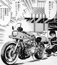 甲軍。