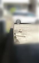 &#39;21　野良猫日記　其の百七十　～代車&amp;出会い～