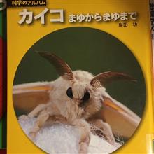 図書館係⁉️