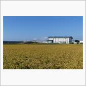 2021年9月21日(火)松 ...