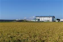 2021年9月21日(火)松島基地展開 (ブルーハンガークローズ)