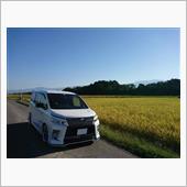 田んぼ道&#215;VOXY　Part3