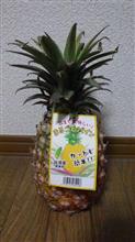 台湾パイナップル