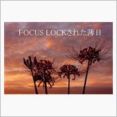 FOCUS LOCKされた薄 ...