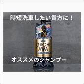 洗車好きにはたまらない！シャ ...