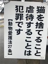 宮ヶ瀬って捨て猫が多いの？