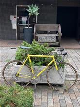 自転車散歩（TITANIO 緑道）